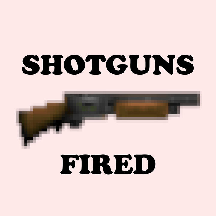 Shotguns Fired Shotguns Fired